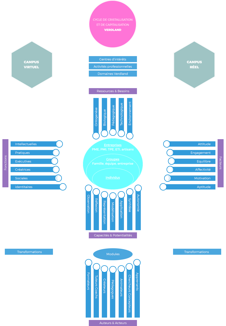 Verdland - Formation Deuxième et troisième cycles (cycles propédeutique et de formation approfondie pour tout niveau)